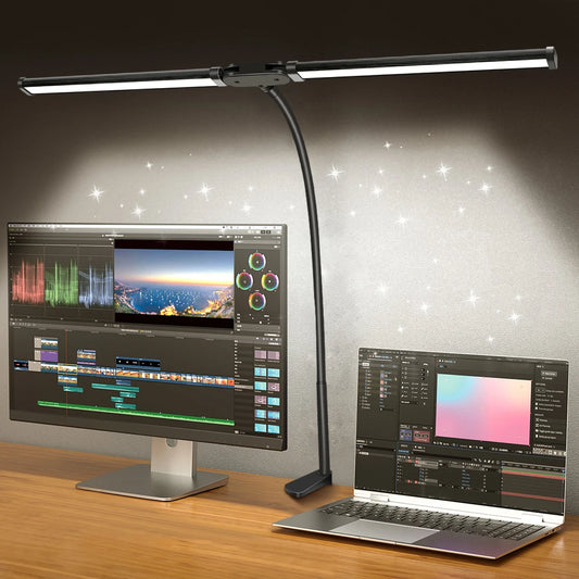 Double Head LED Desk Lamp